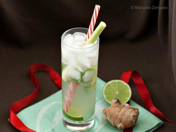 Lemongrass and Ginger Mojito