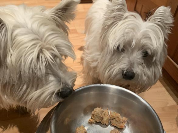 kangaroo and salmon meatball treat for dogs