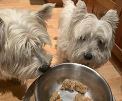 kangaroo and salmon meatball treat for dogs