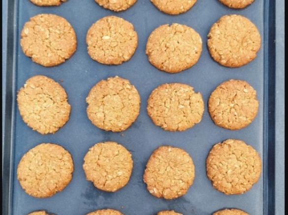 Thermolex ANZAC biscuits