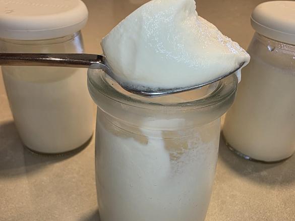 Extra Thick and Creamy Greek-Style Yoghurt