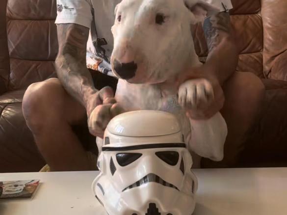 Magnus The Destroyer ( doggie treats)