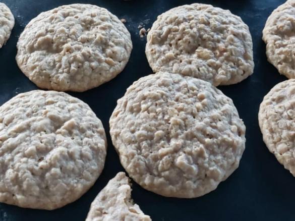 Chocolate Chip, Coconut, Oat Biscuits