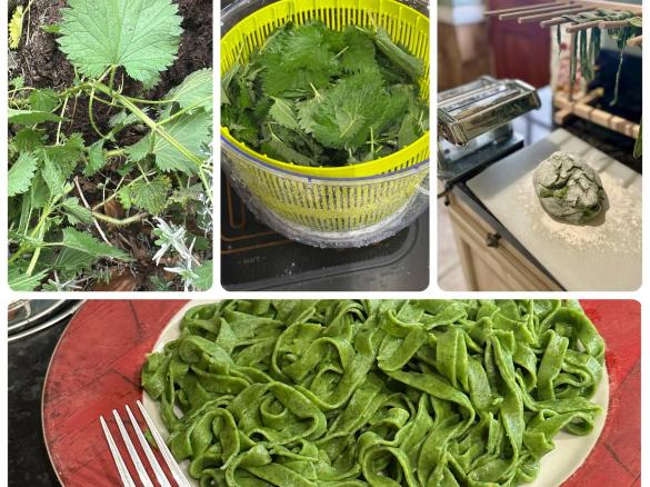Green Fresh Pasta Dough (spinach, kale, pea or stinging nettle) made with red lentil flour