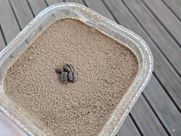 Tiramisu overnight oats