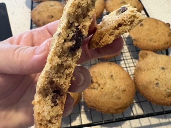 Mel’s Chocolate Chip Almond Flour Biscuits. Grain free